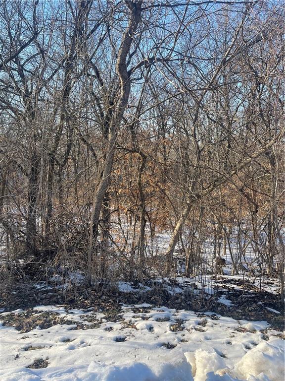 Listing Photo MLS #HMS2532368