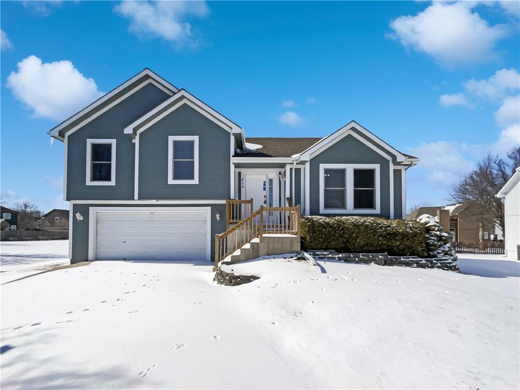 Listing Photo MLS #HMS2532456