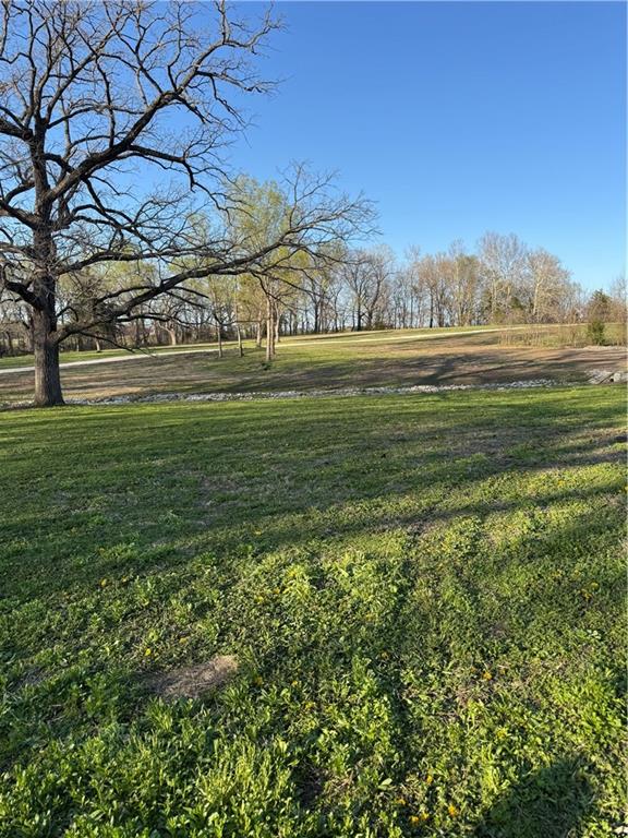 Listing Photo MLS #HMS2532763