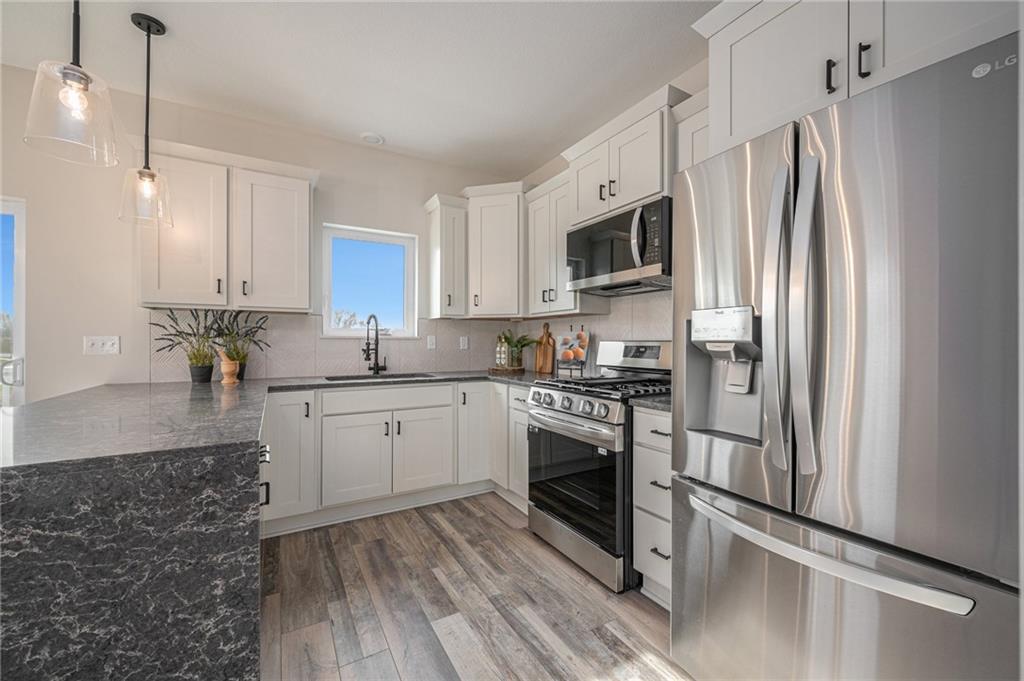 Listing Photo MLS #HMS2532816