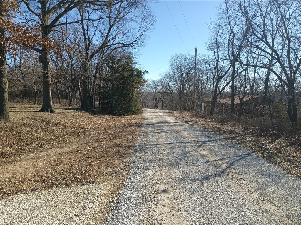 Listing Photo MLS #HMS2533425