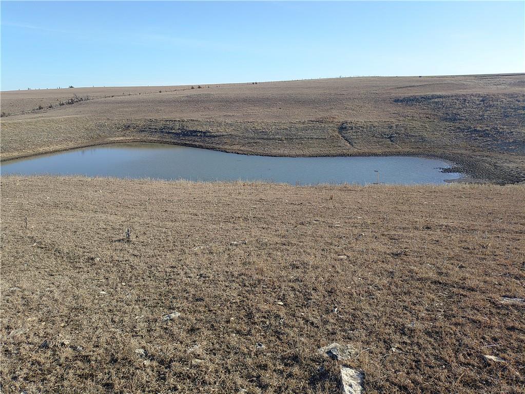 Listing Photo MLS #HMS2533530