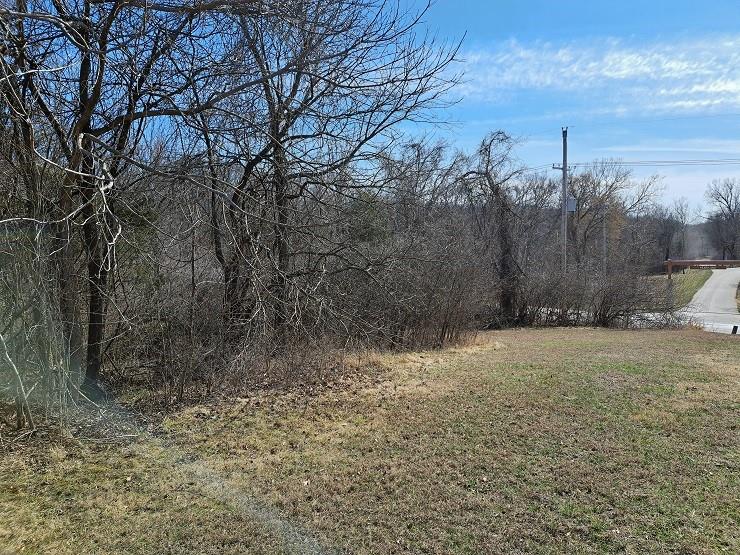 Listing Photo MLS #HMS2533638