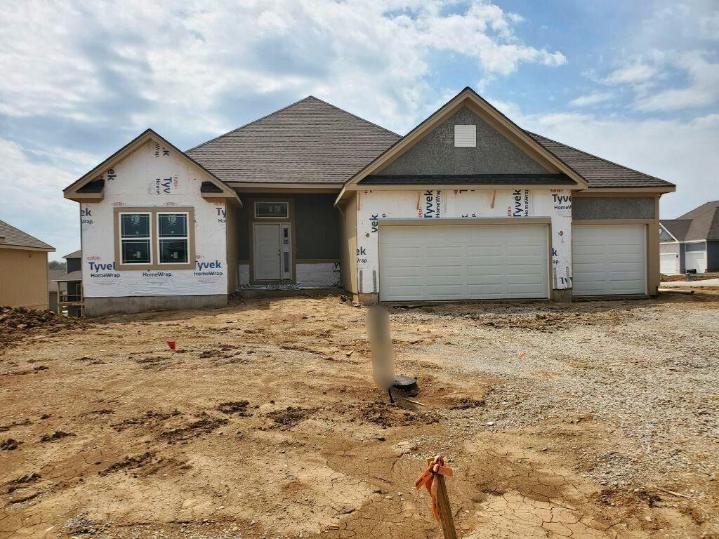 Listing Photo MLS #HMS2533831