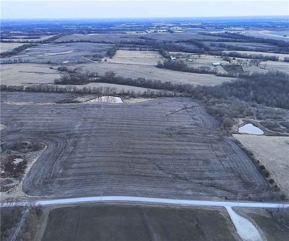 Listing Photo MLS #HMS2533865