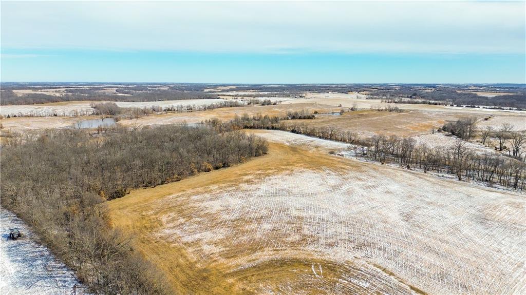 Listing Photo MLS #HMS2534378