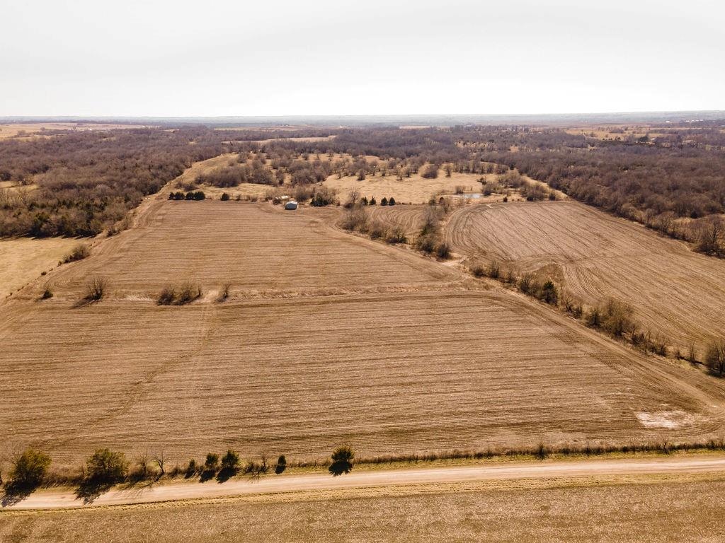 Listing Photo MLS #HMS2534759