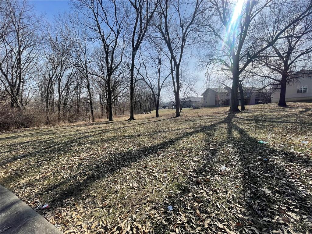 Listing Photo MLS #HMS2534903