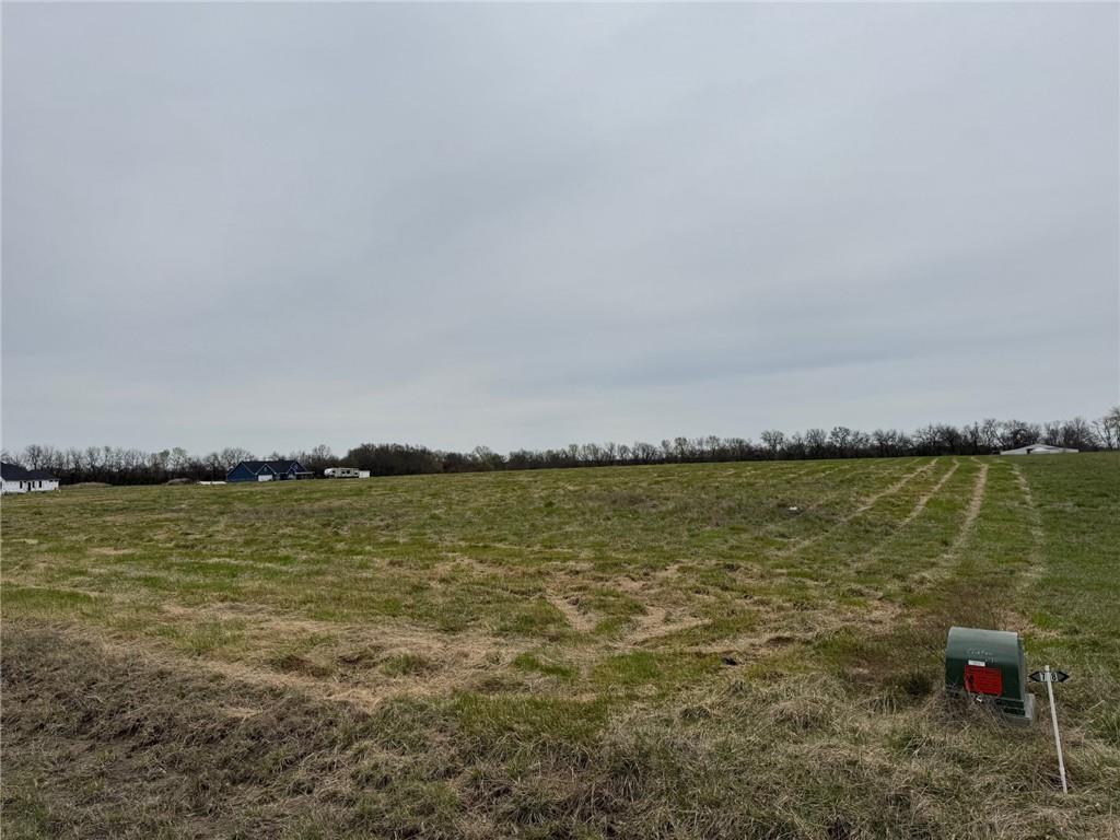 Listing Photo MLS #HMS2535042