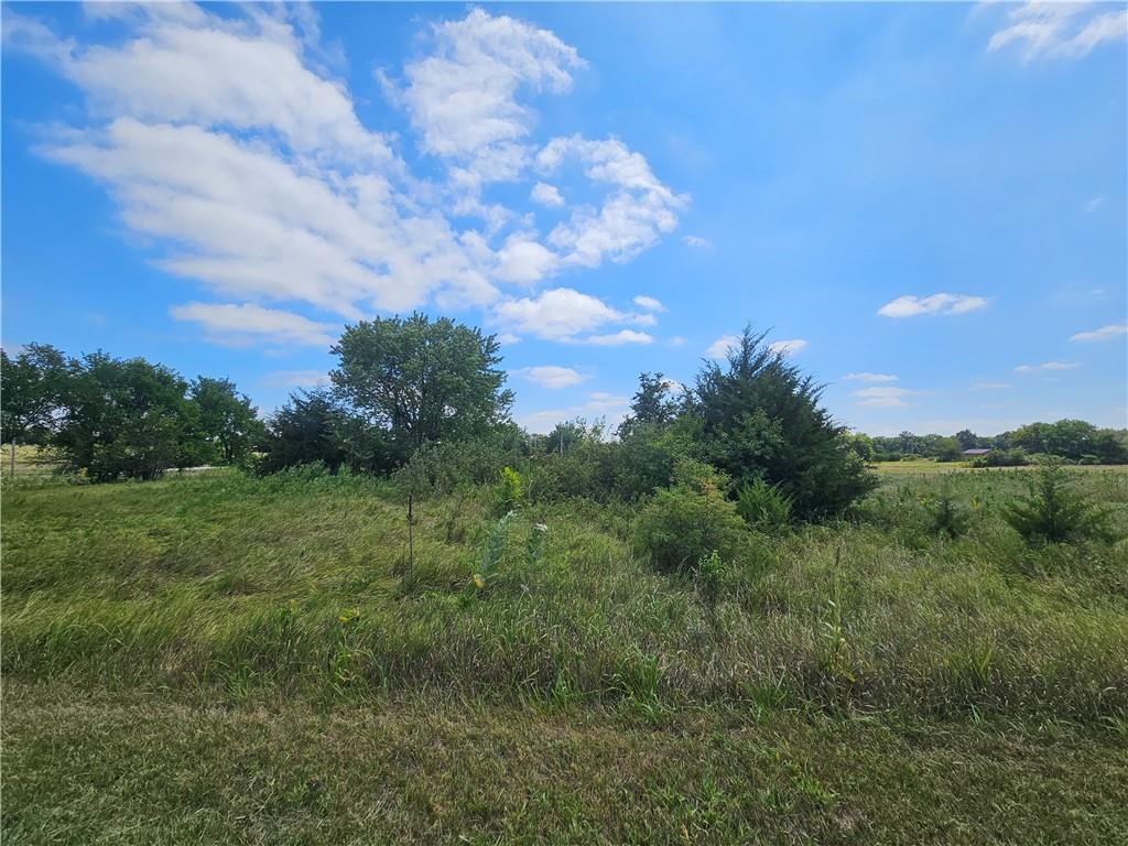 Listing Photo MLS #HMS2535086