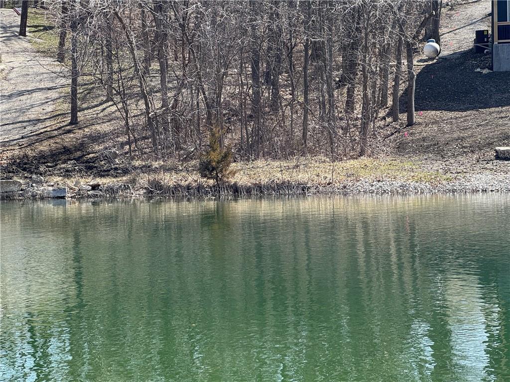 Listing Photo MLS #HMS2535249