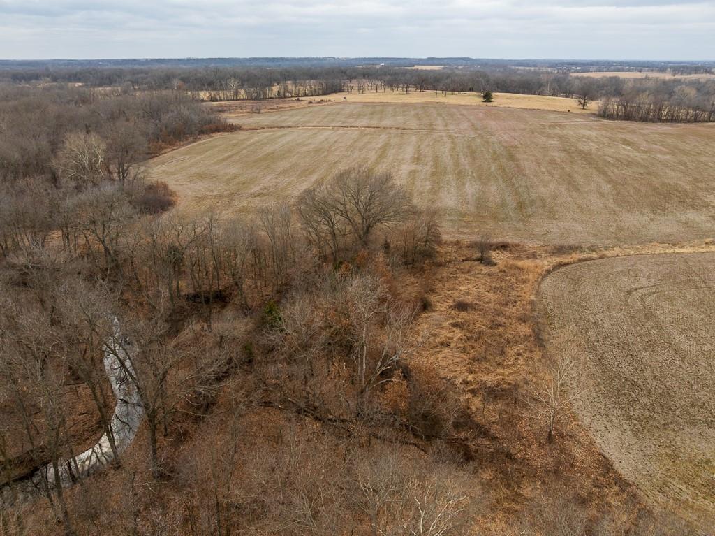 Listing Photo MLS #HMS2535296