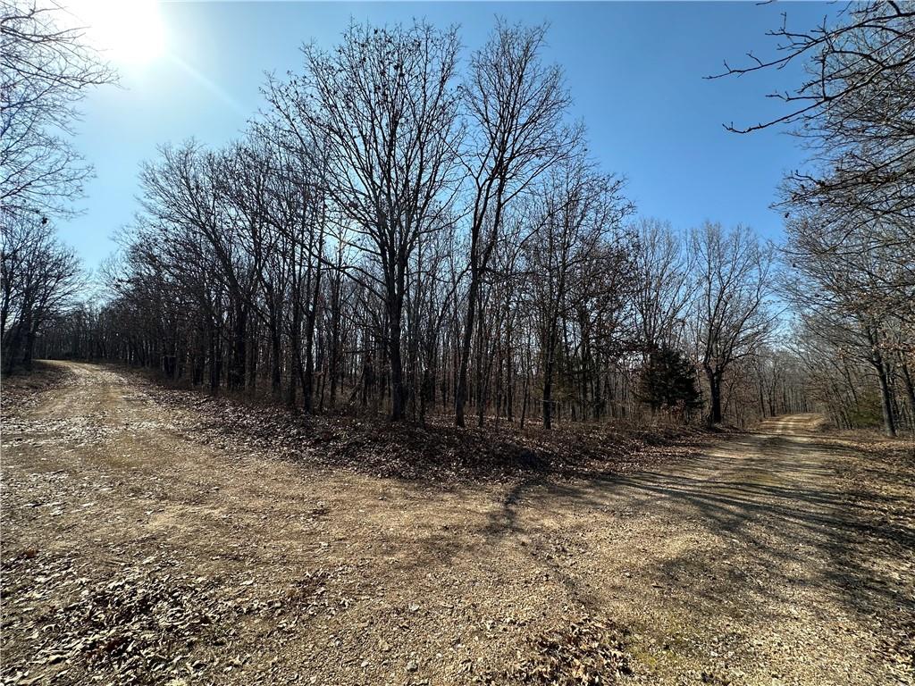 Listing Photo MLS #HMS2536036