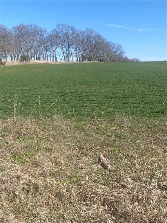 Listing Photo MLS #HMS2536455