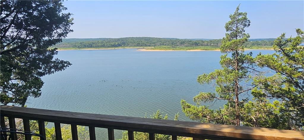 Listing Photo MLS #HMS2536508