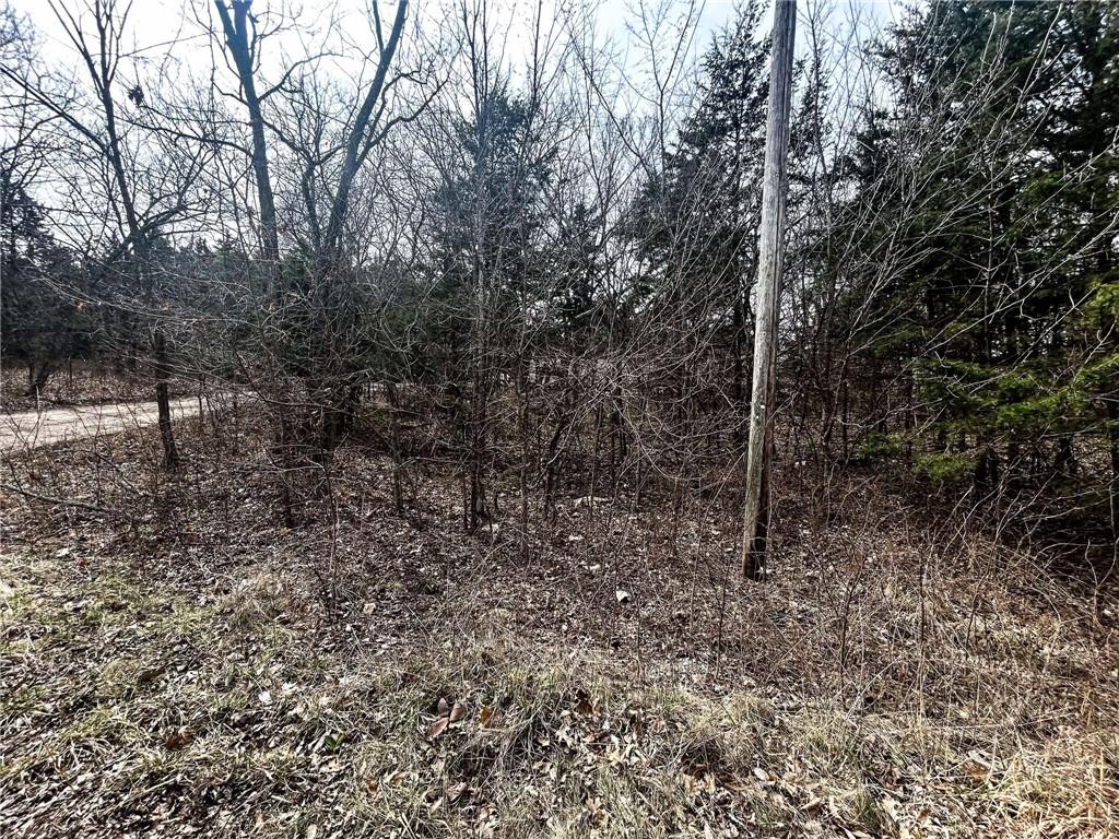 Listing Photo MLS #HMS2536741