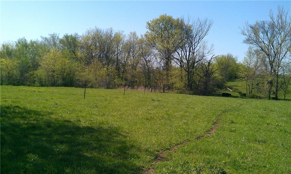 Listing Photo MLS #HMS2537589