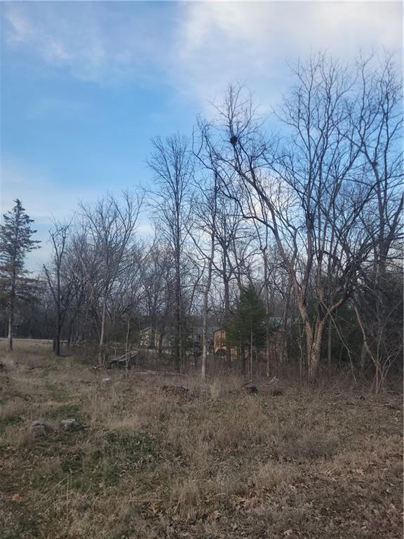 Listing Photo MLS #HMS2537603