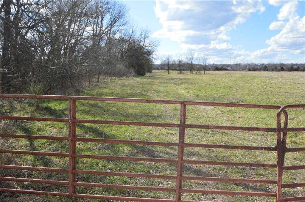 Listing Photo MLS #HMS2537620
