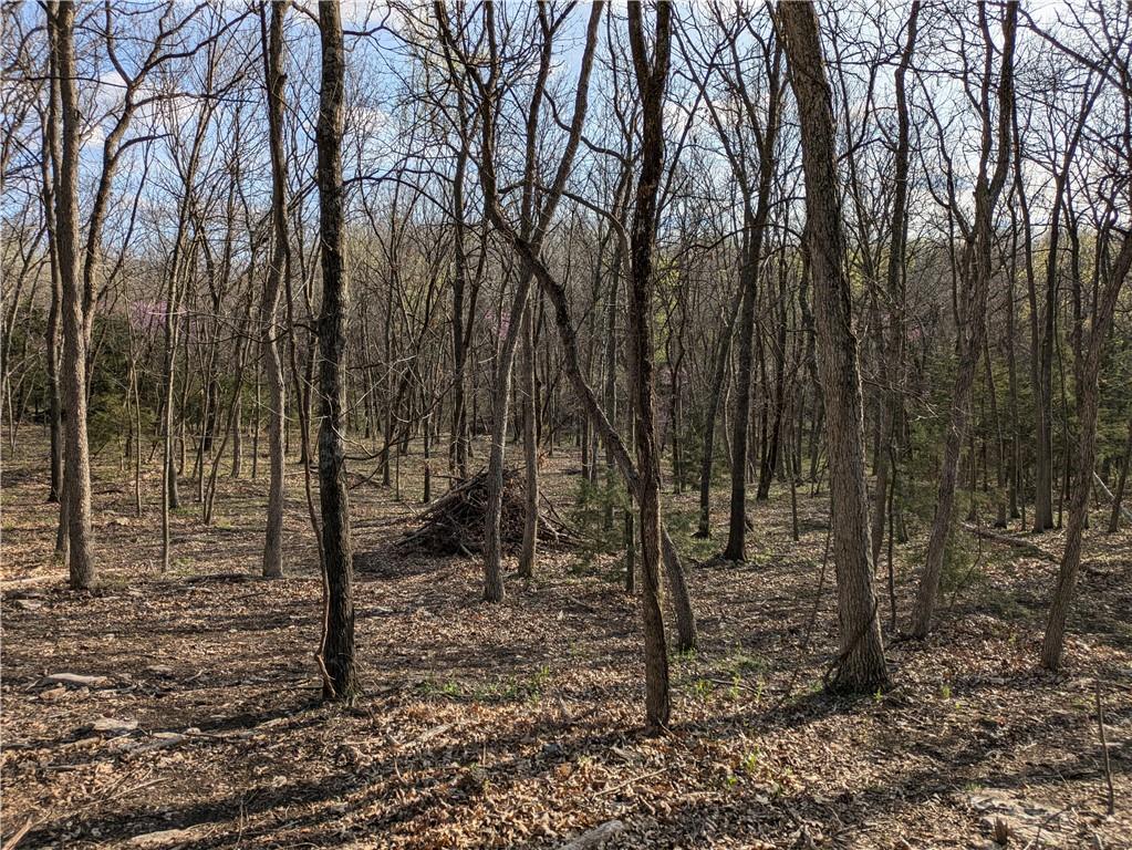 Listing Photo MLS #HMS2537761