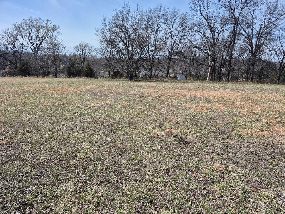 Listing Photo MLS #HMS2537833
