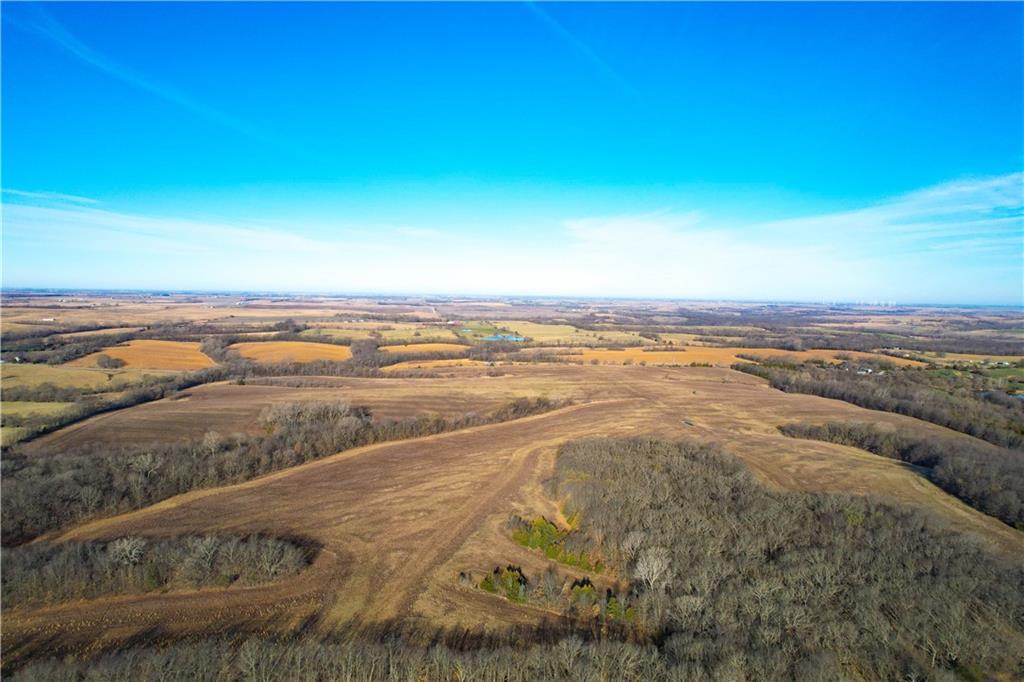 Listing Photo MLS #HMS2537839