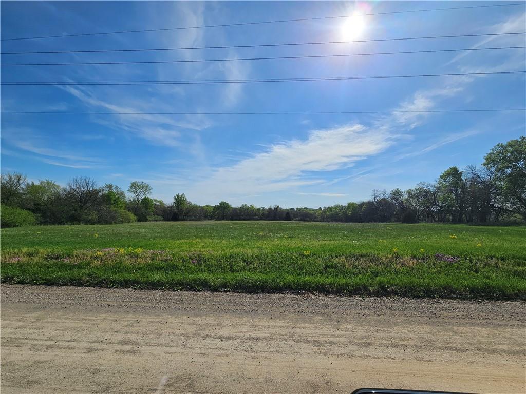 Listing Photo MLS #HMS2537982