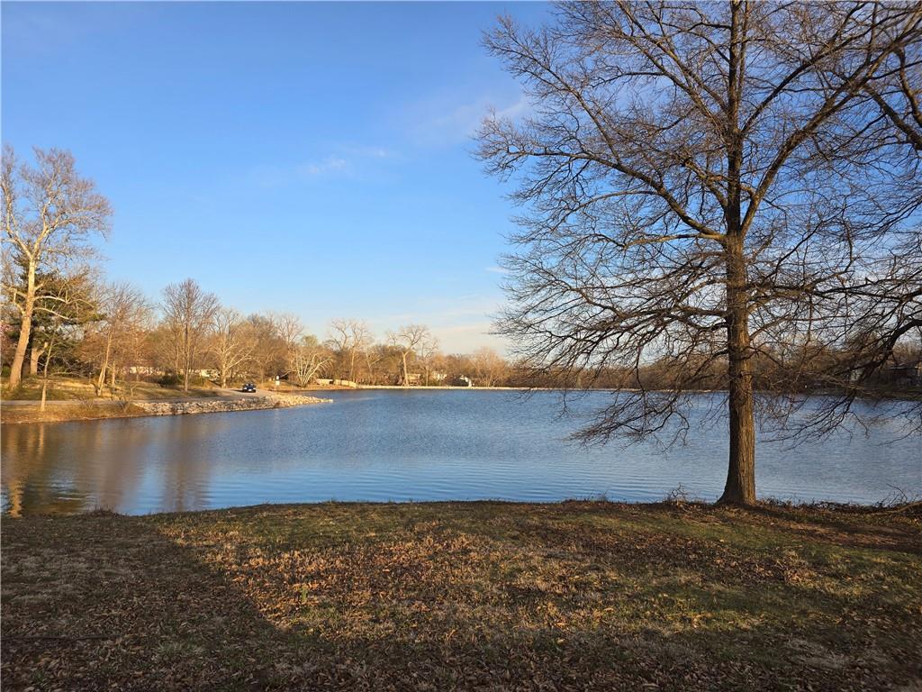 Listing Photo MLS #HMS2538082