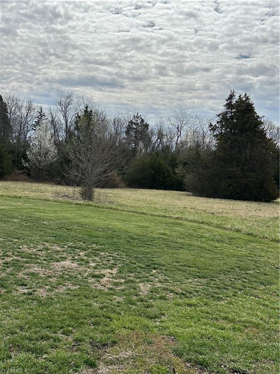 Listing Photo MLS #HMS2538143