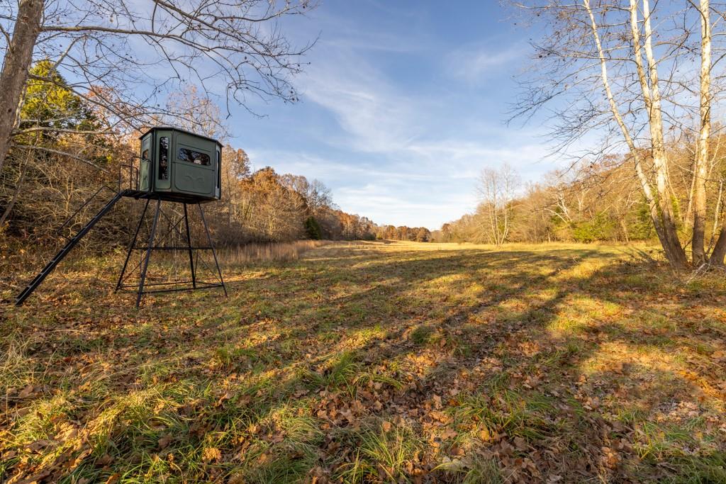 Listing Photo MLS #HMS2538299