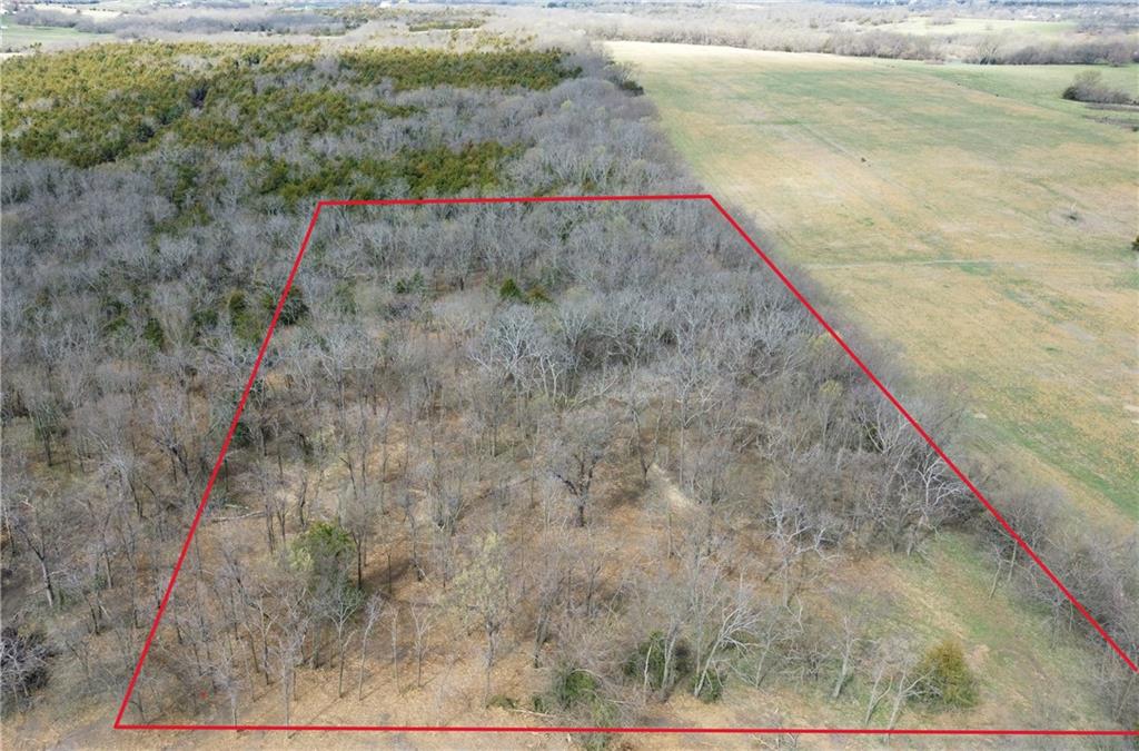 Listing Photo MLS #HMS2538384