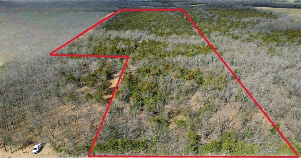 Listing Photo MLS #HMS2538393
