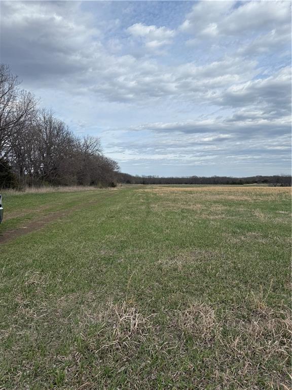 Listing Photo MLS #HMS2538571