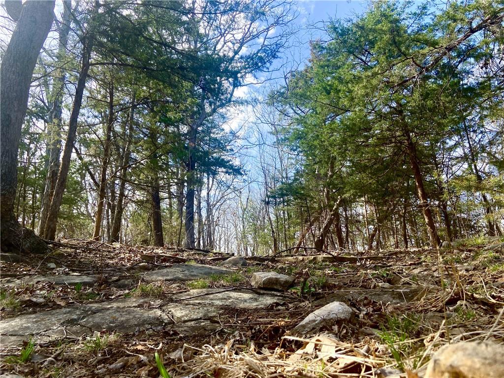 Listing Photo MLS #HMS2538799