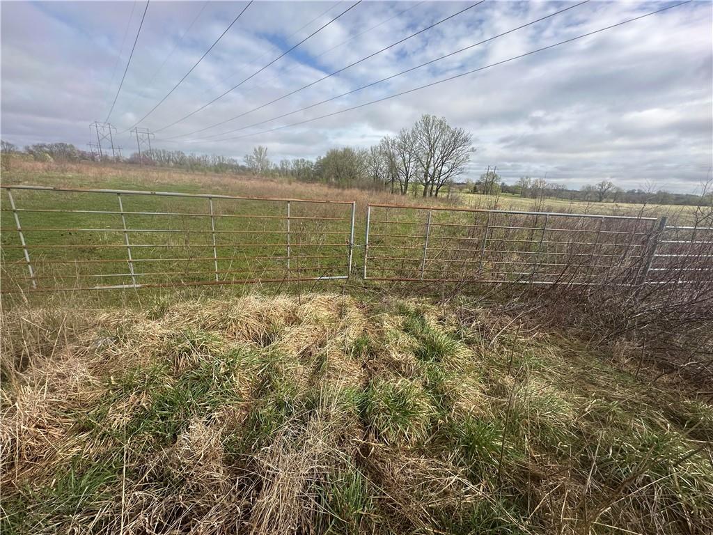 Listing Photo MLS #HMS2539164