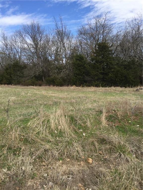Listing Photo MLS #HMS2539332
