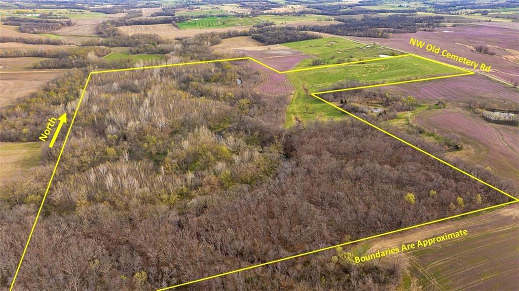 Listing Photo MLS #HMS2539343