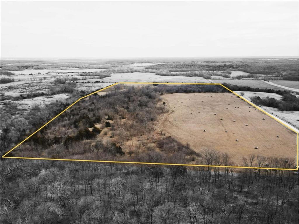 Listing Photo MLS #HMS2539365