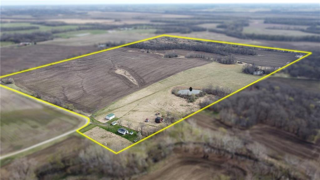 Listing Photo MLS #HMS2539366
