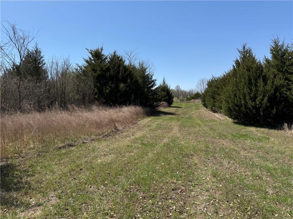Listing Photo MLS #HMS2539473