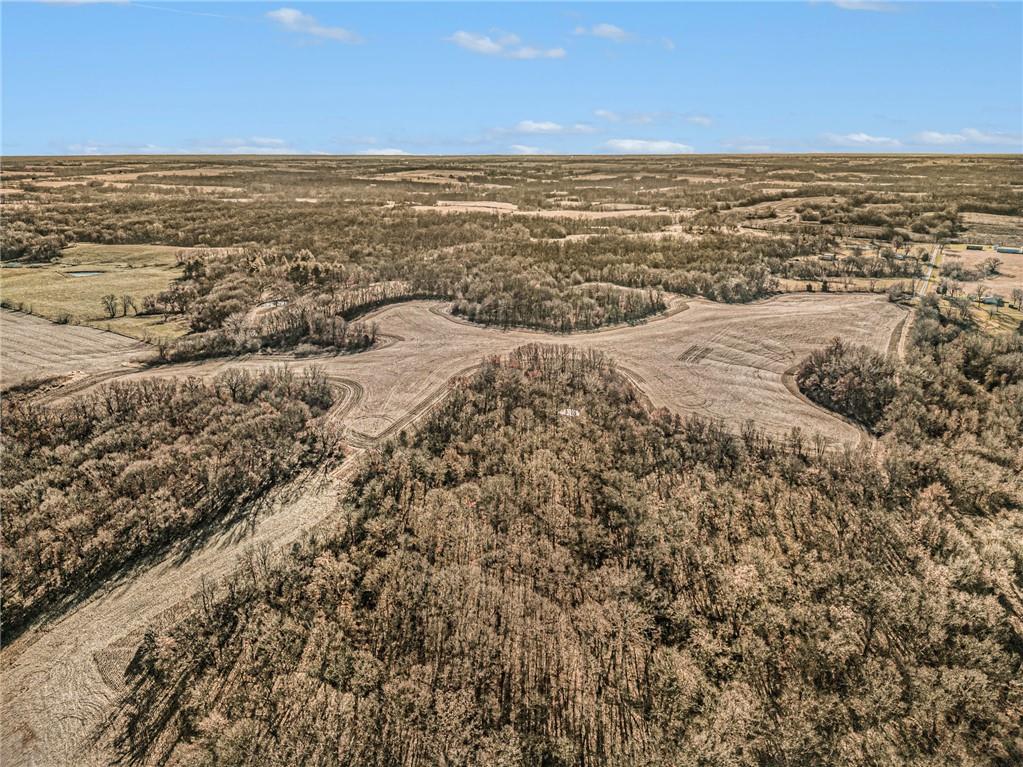 Listing Photo MLS #HMS2539479