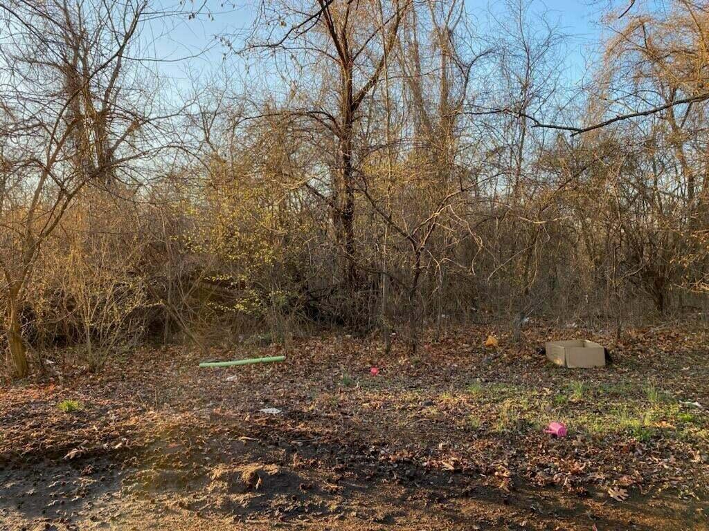 Listing Photo MLS #HMS2539575