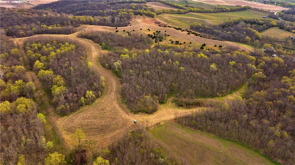 Listing Photo MLS #HMS2539738