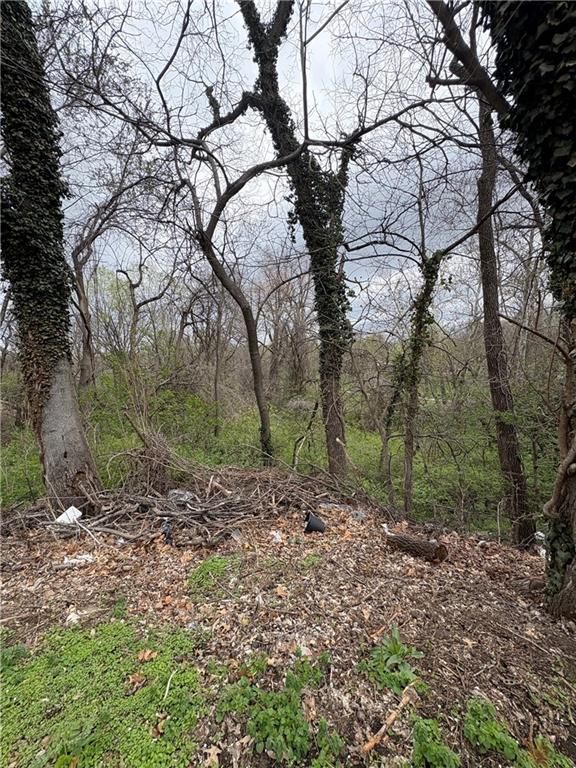 Listing Photo MLS #HMS2539751