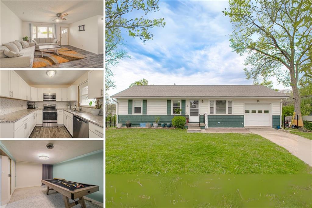Listing Photo MLS #HMS2539831