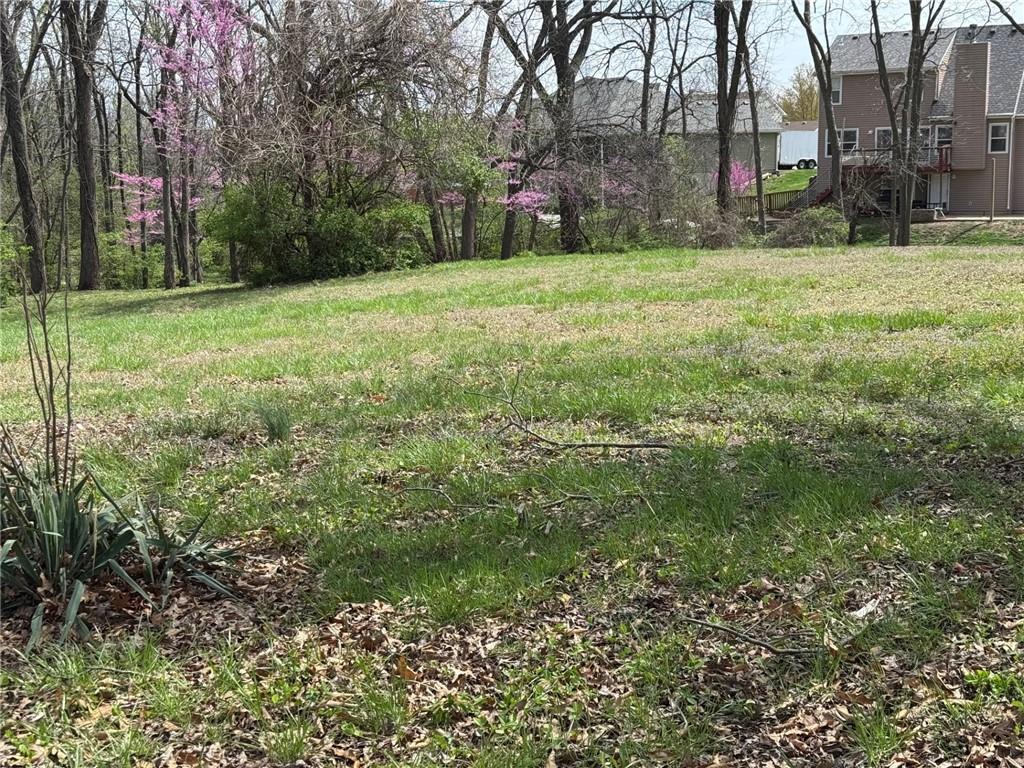 Listing Photo MLS #HMS2539886