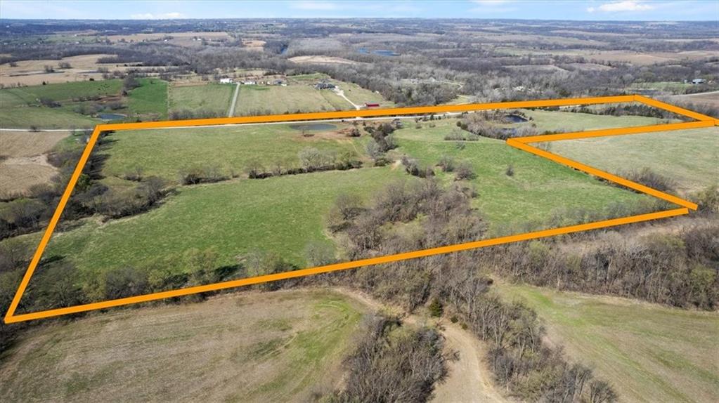 Listing Photo MLS #HMS2539912