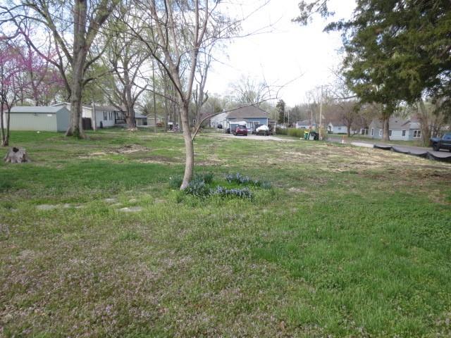 Listing Photo MLS #HMS2539931