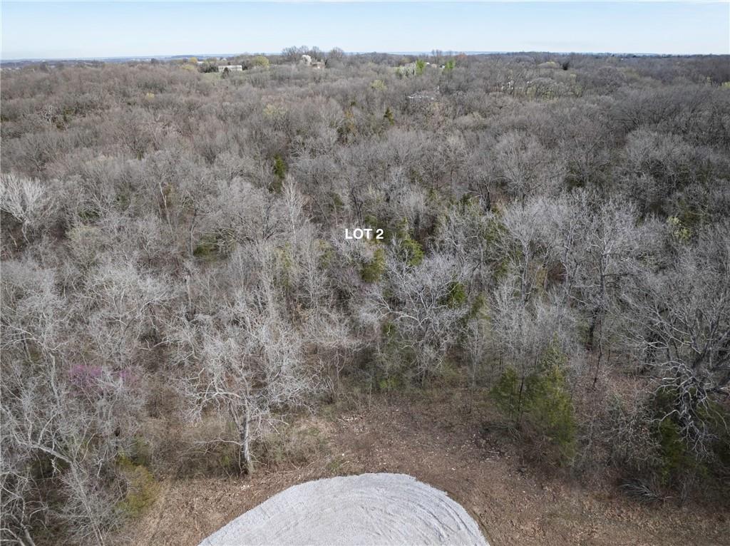 Listing Photo MLS #HMS2541059
