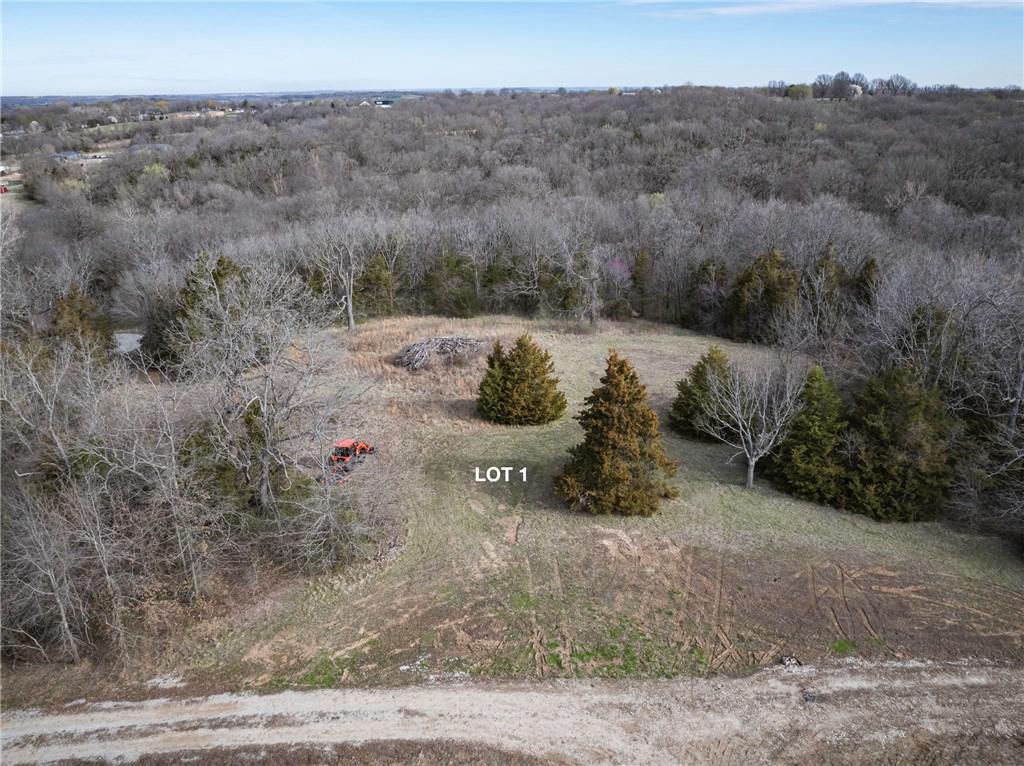 Listing Photo MLS #HMS2541070